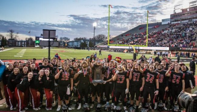 23905417 518480801859097 7833770776889012437 n