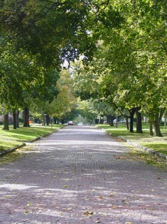 DSC02490 19 600 450 80 rd 255 255 255