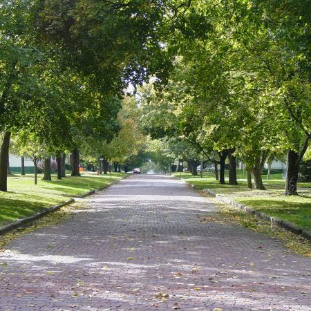 DSC02490 19 600 450 80 rd 255 255 255 DSC02490 19 600 450 80 rd 255 255 255