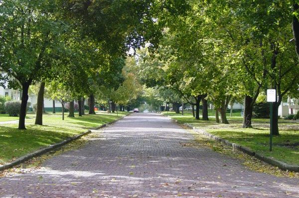 DSC02490 19 600 450 80 rd 255 255 255