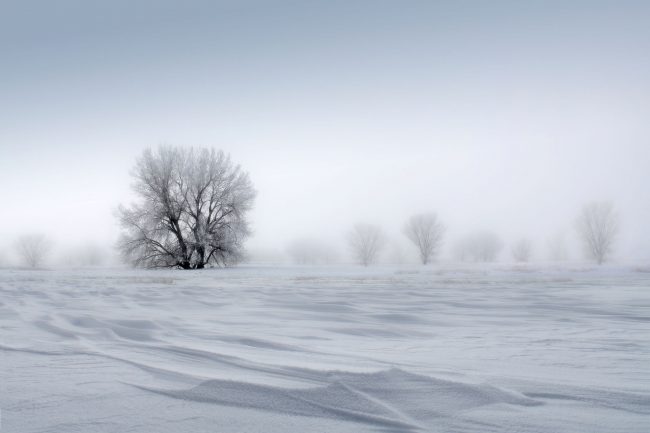 HALLOWED Franklin Arts