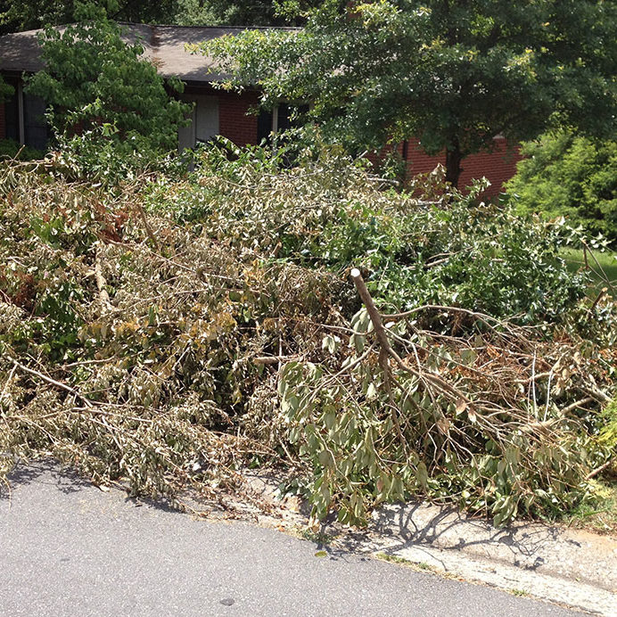 large-brush-pile-2 brush pile