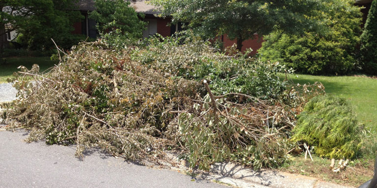 brush pile