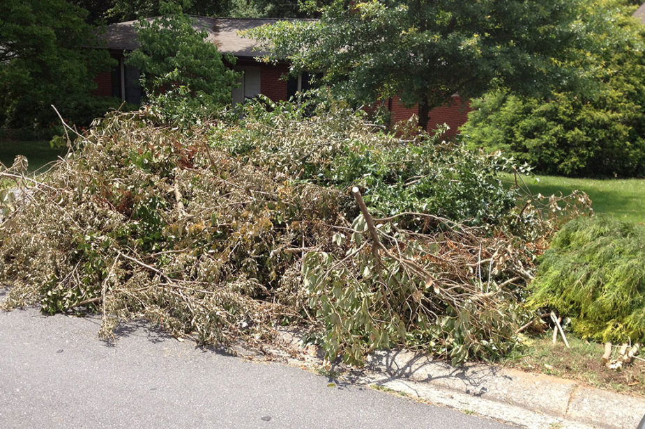 brush pile