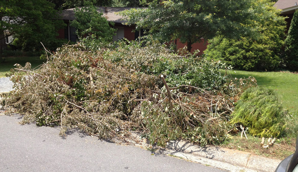 brush pile