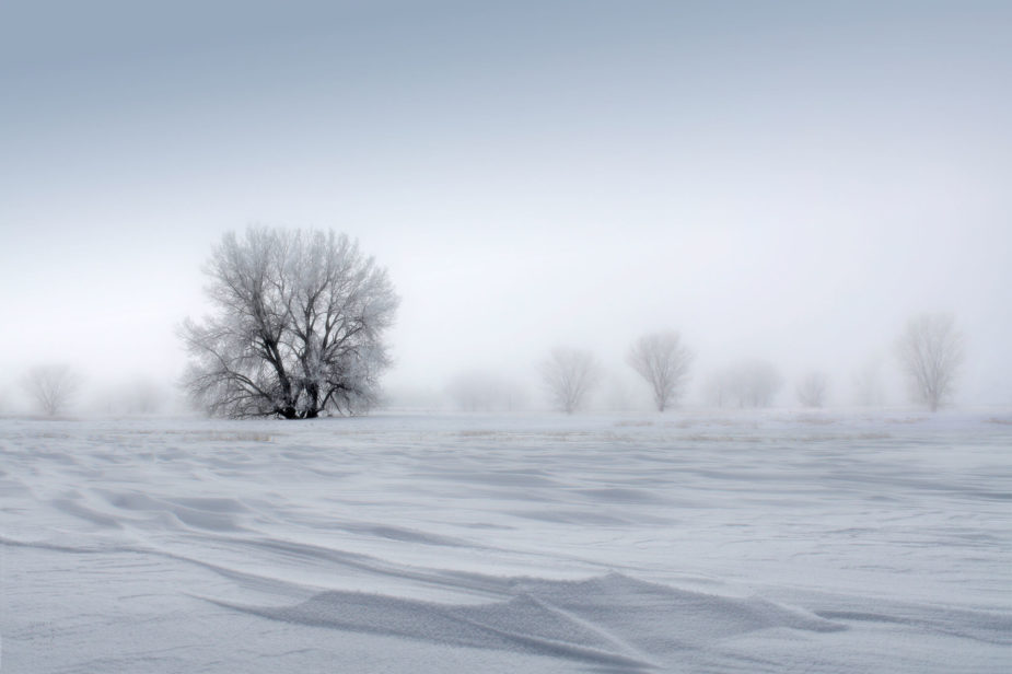 HALLOWED-Franklin-Arts snow