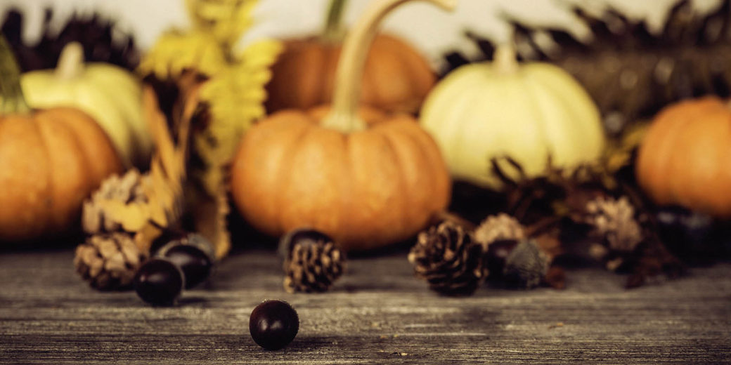 Bright gourds and pumpkins for thanksgiving