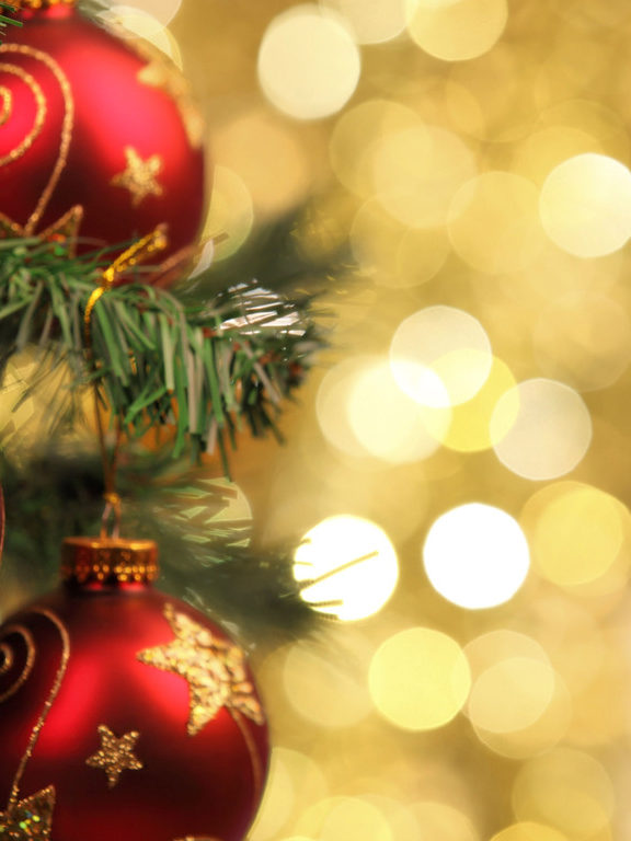 Ornaments hanging on a tree in twinkle lights