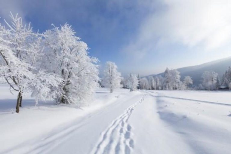 111798556-565x376_1 snowy winter scene