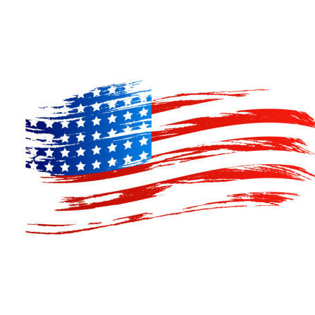 American Flag Graphic
