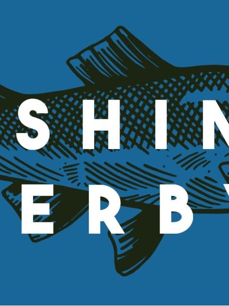 Blue image with fishing in background